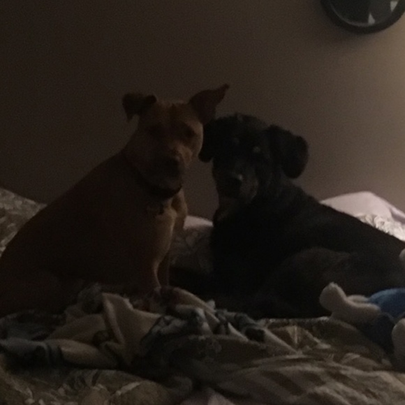 Meet your Posher, Stephanie - Picture 3 of 17